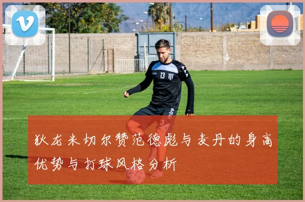 狄龙米切尔赞范德彪与麦丹的身高优势与打球风格分析